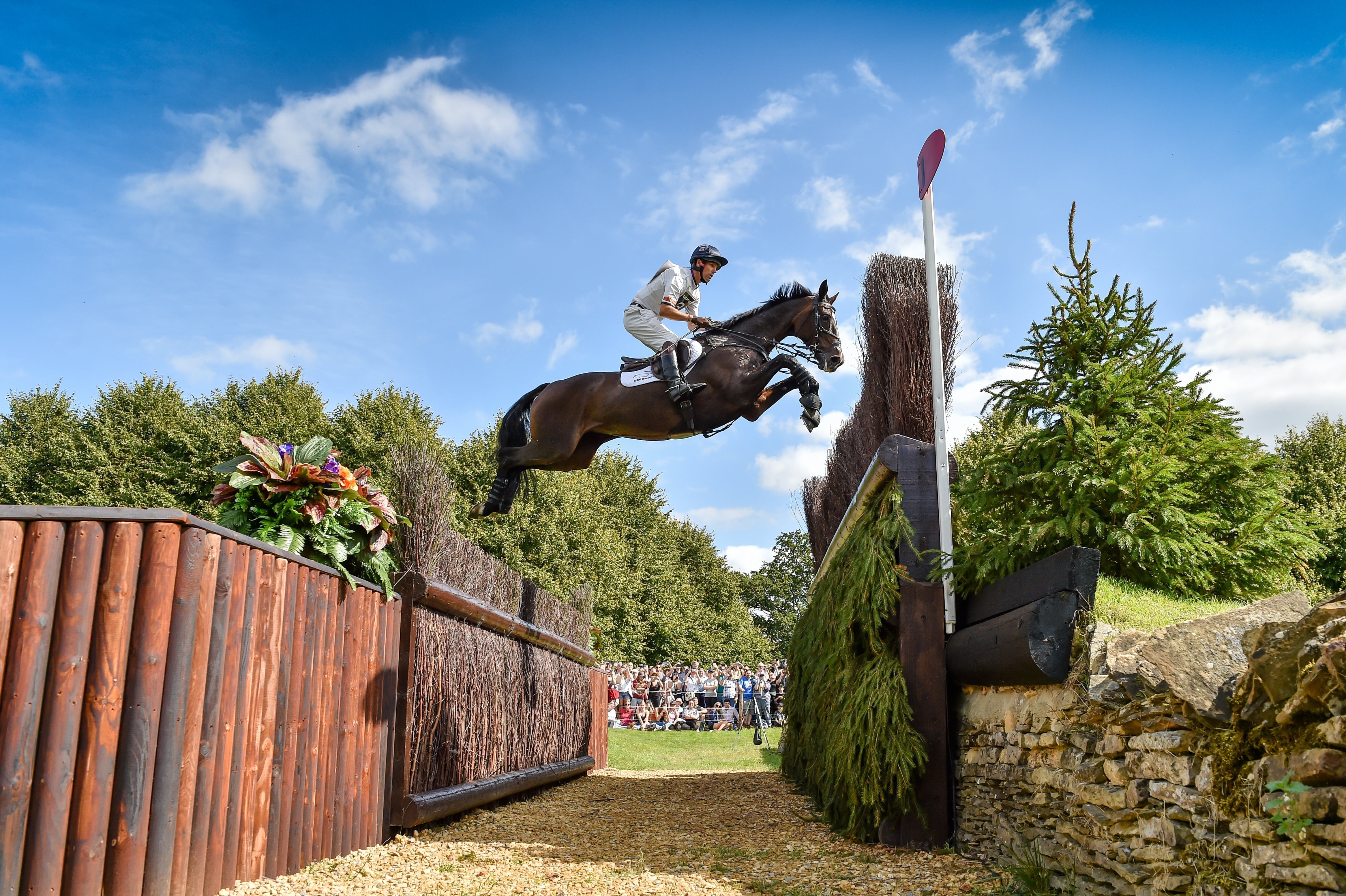 Dark brown horse with glossy coat jumps obstacle at Burghley Horse Trials
