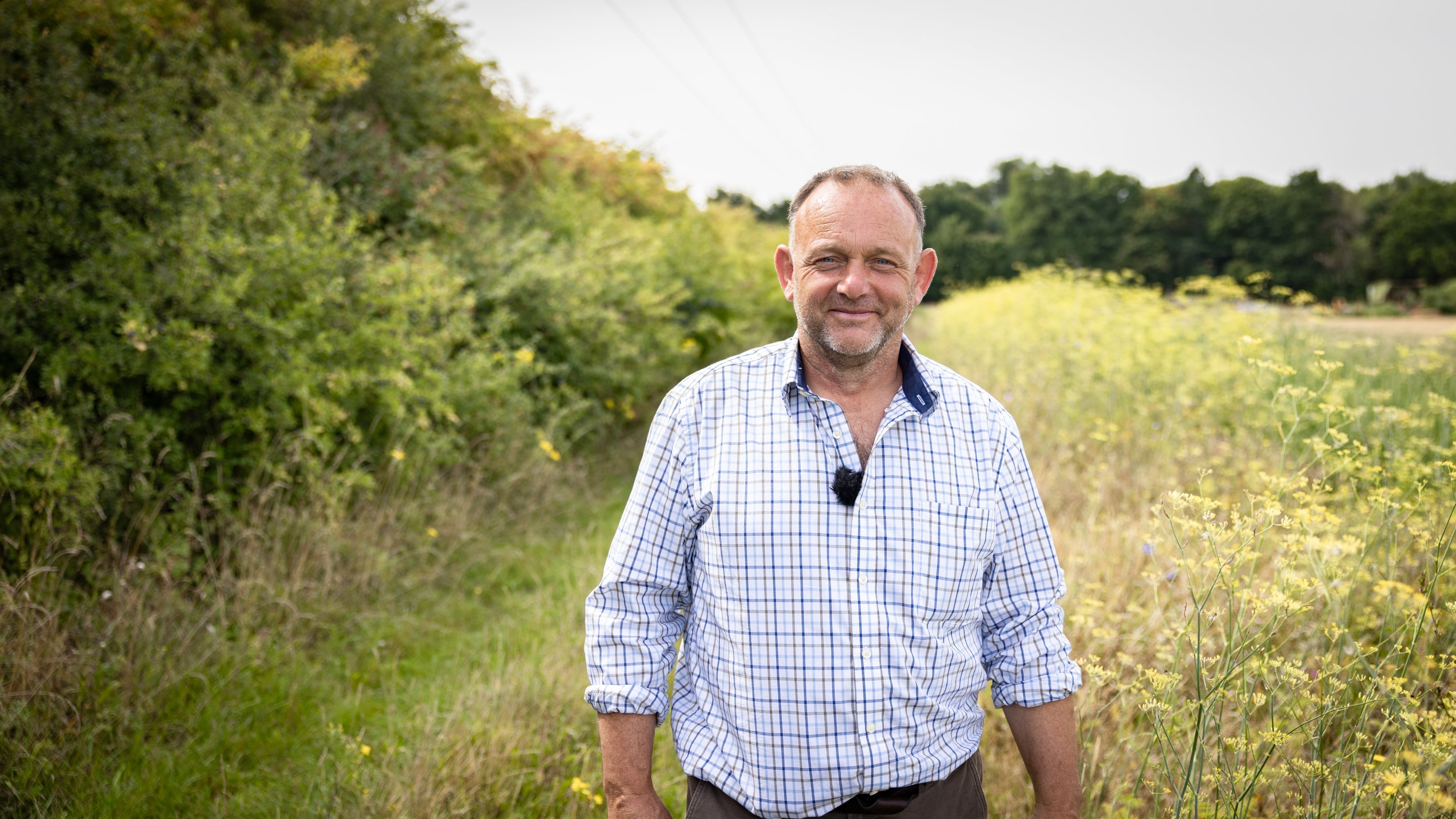 Graham Denny in light blue white checkered shirt with rolled sleeves