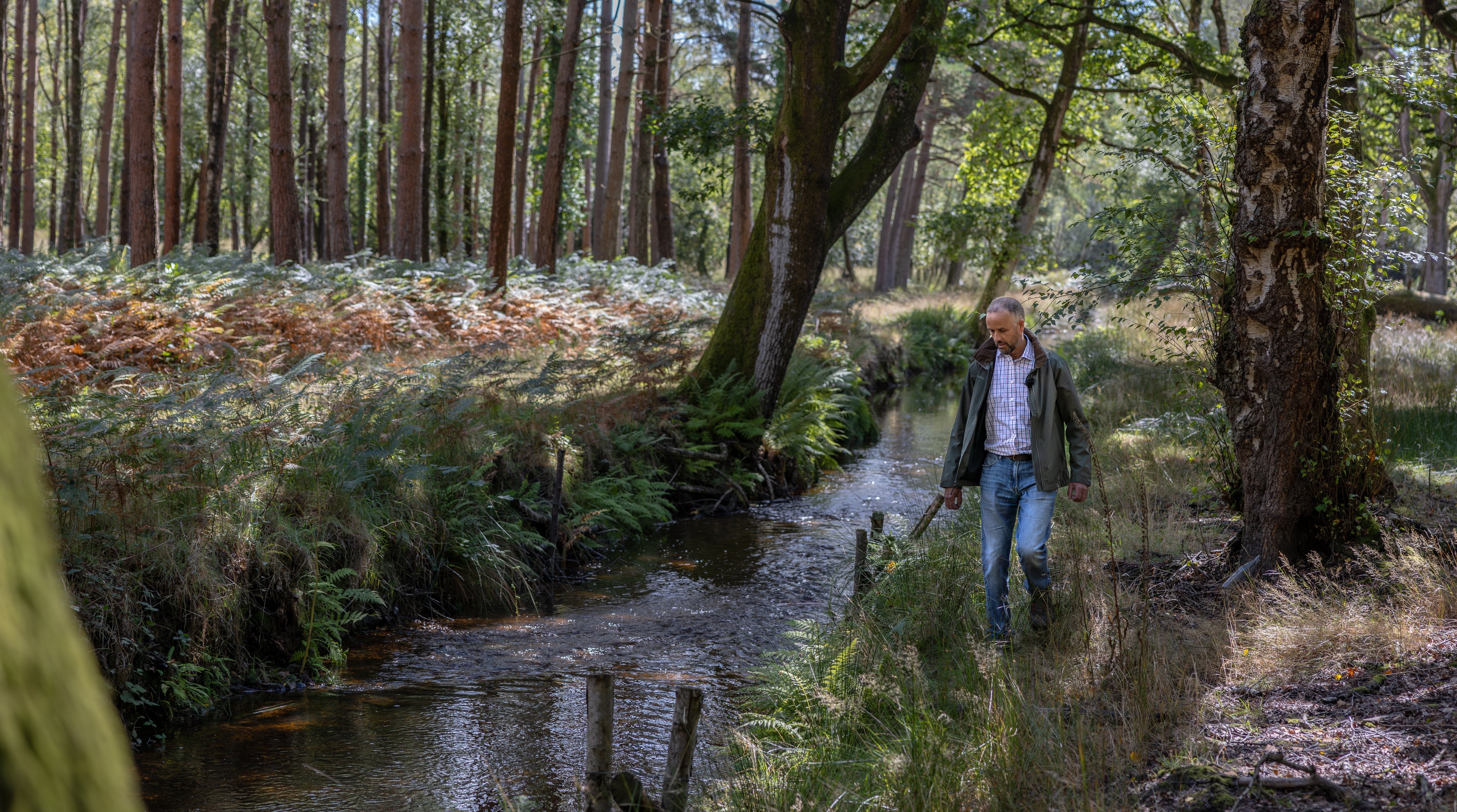 Rupert Brewer walks streamside in green jacket amid ferns and trees