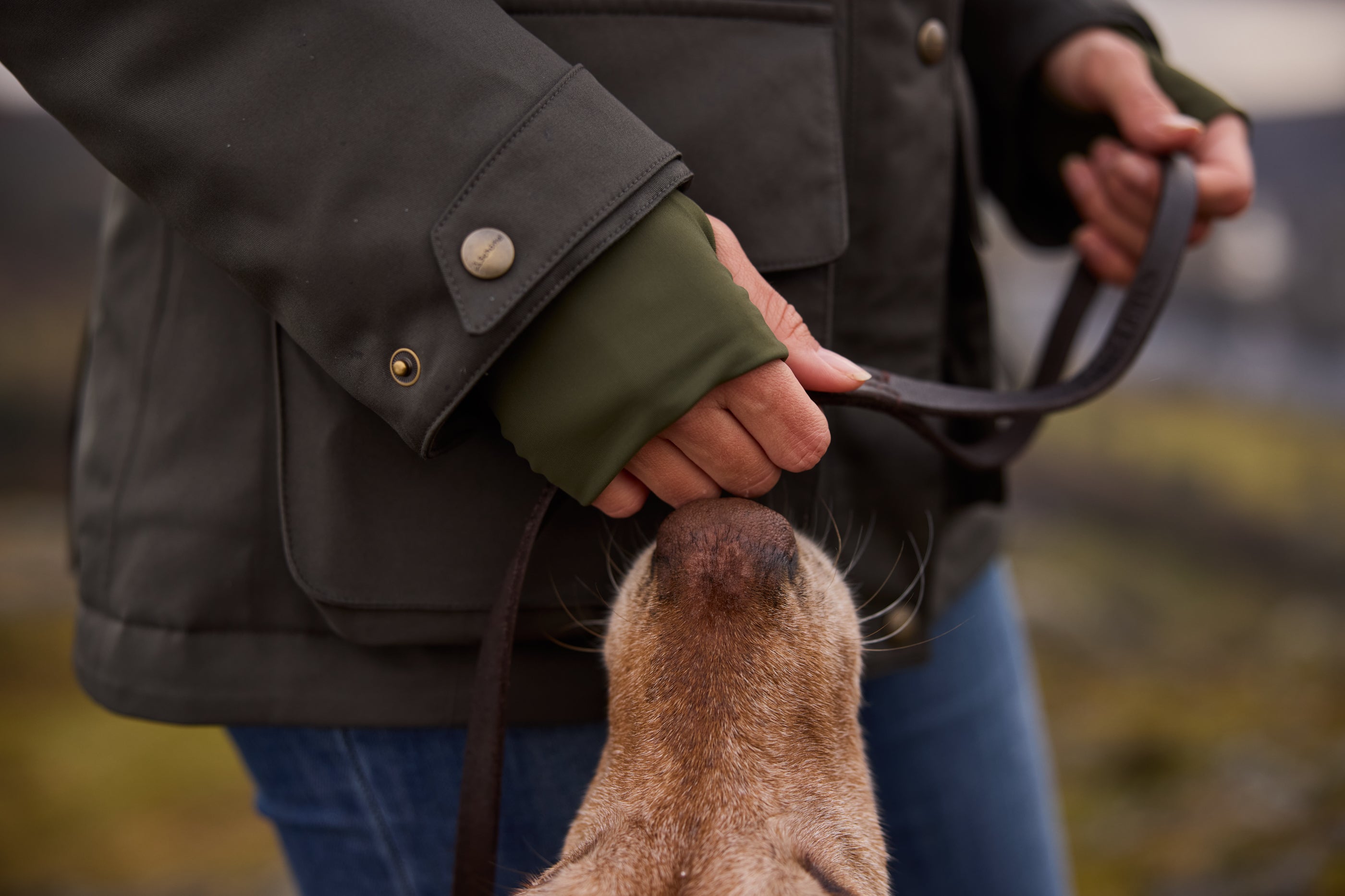 What to wear dog walking