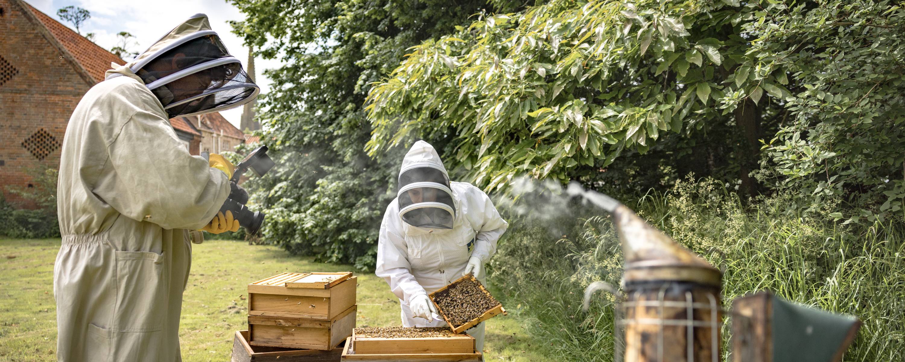 Beekeeper in protective gear handles beeswax-covered wooden honeycomb frame