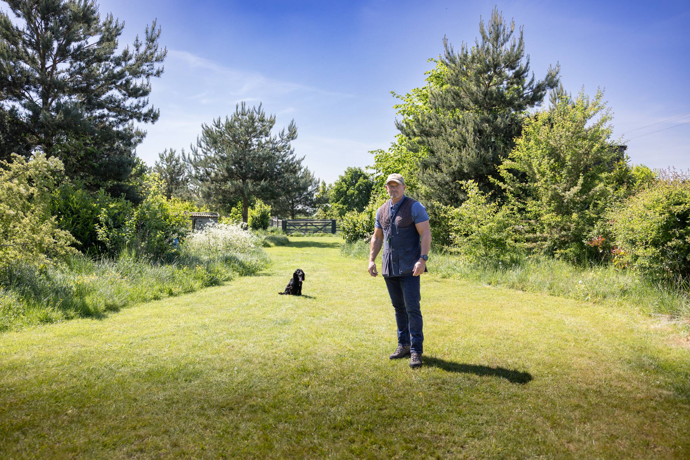 Black short-haired dog sits patiently on lawn in Ben Randall training session