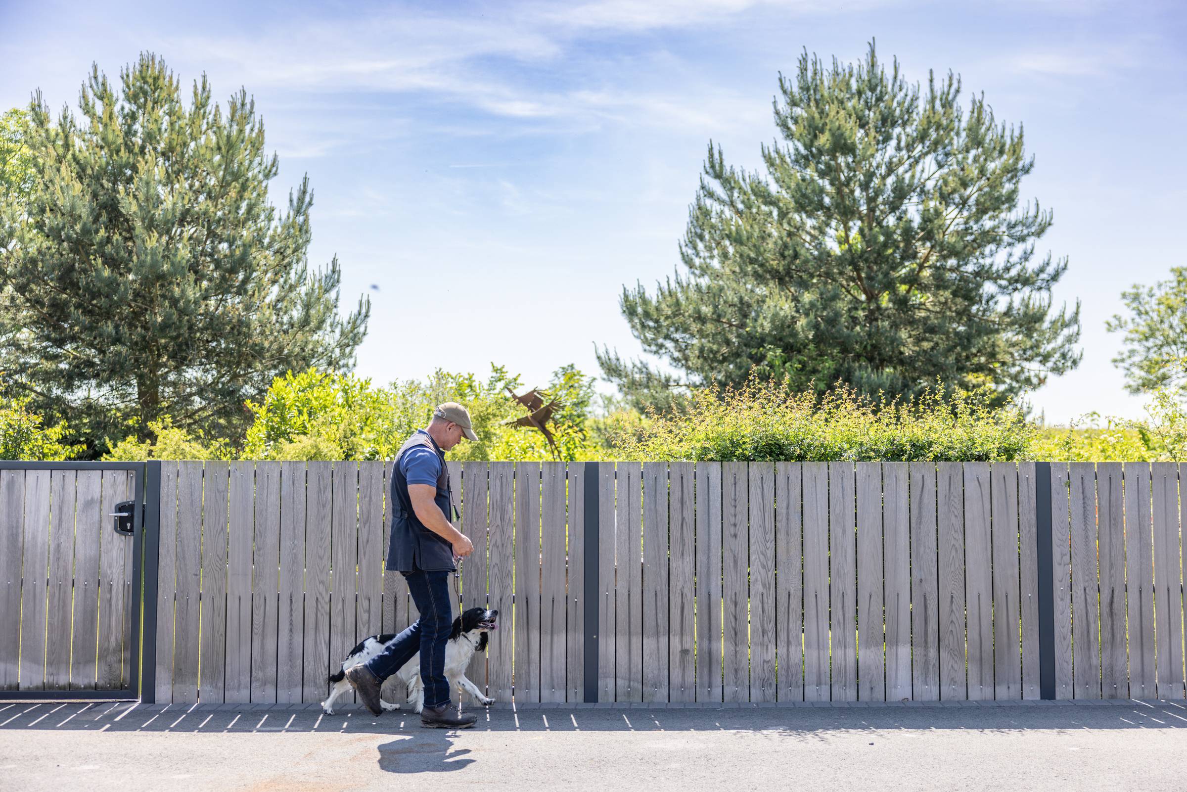 Ben Randall walks two black-and-white dogs on heel along wooden fence