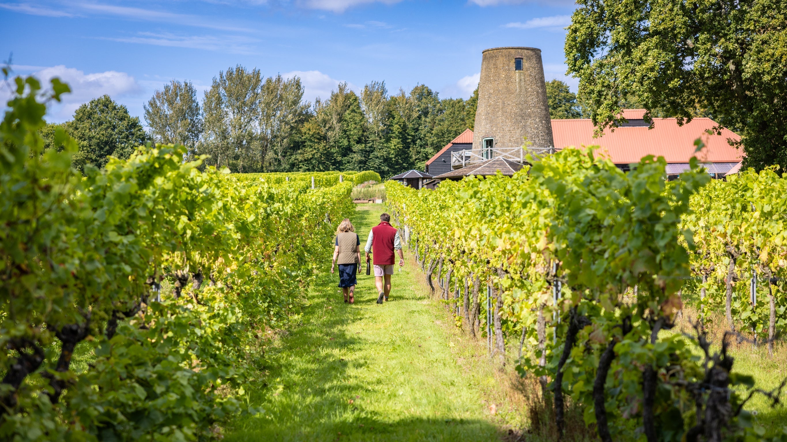 Stone windmill with red roof in lush vineyard, Christmas campaign feature