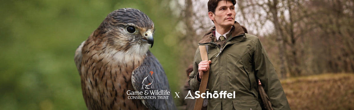 A split image of a bird on the left and a man in a jacket on the right