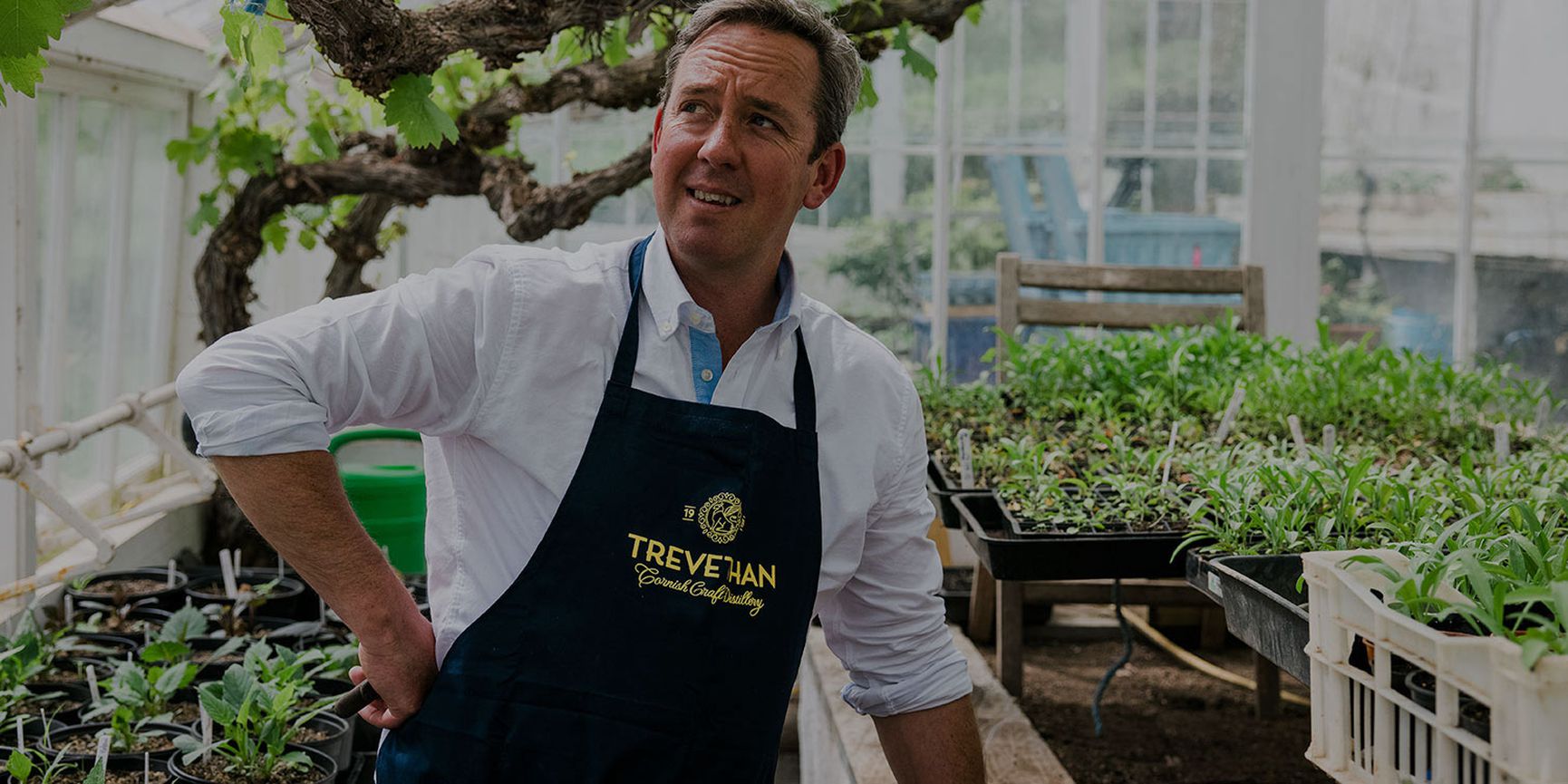 Dark blue Trevethan Countryside Cooking apron with gold embroidery