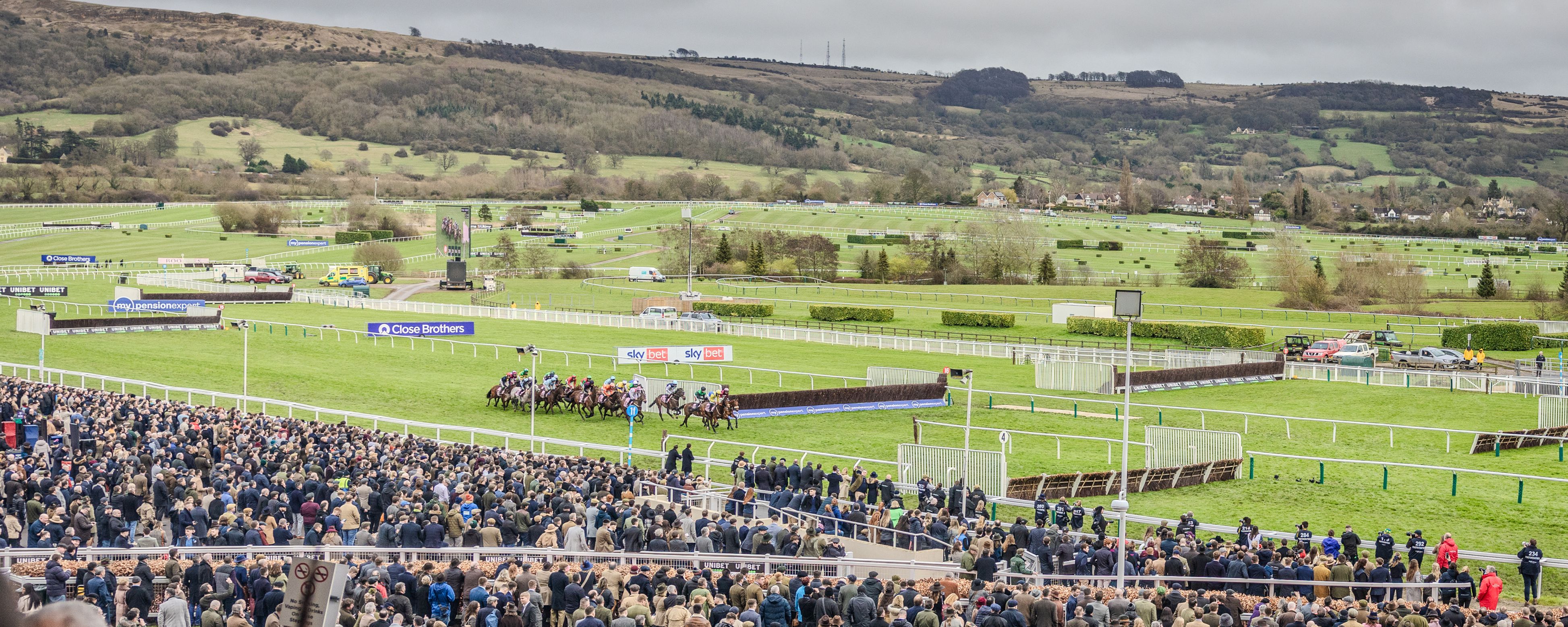 Our guide to the 2026 Cheltenham Festival