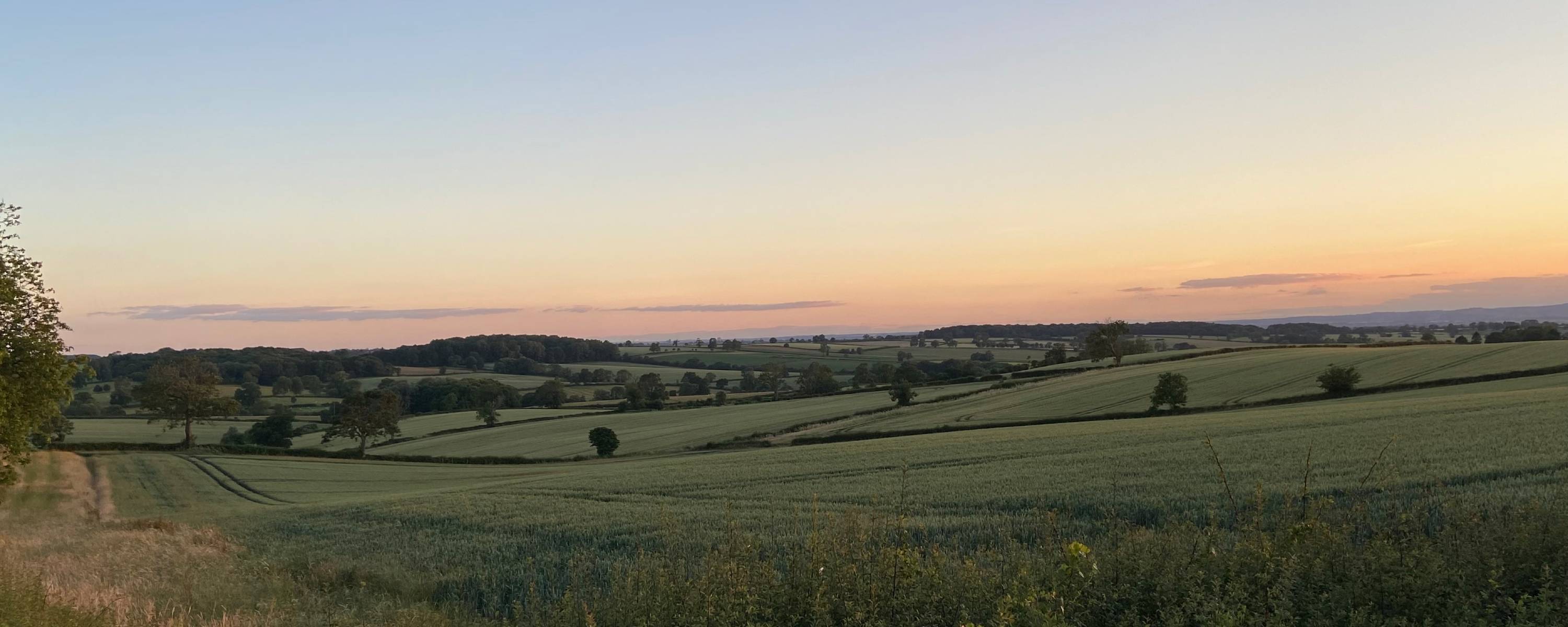 Serene Schoffel Country sunset over Allerton Project green countryside