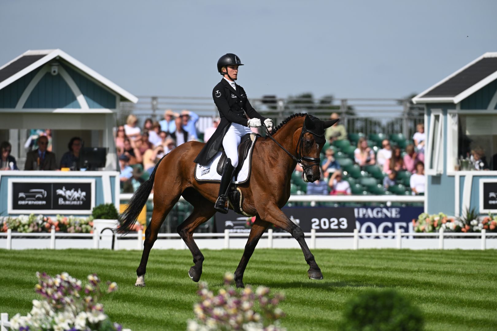 A dressage horse and rider in the ring at Burghley Horse Trials.