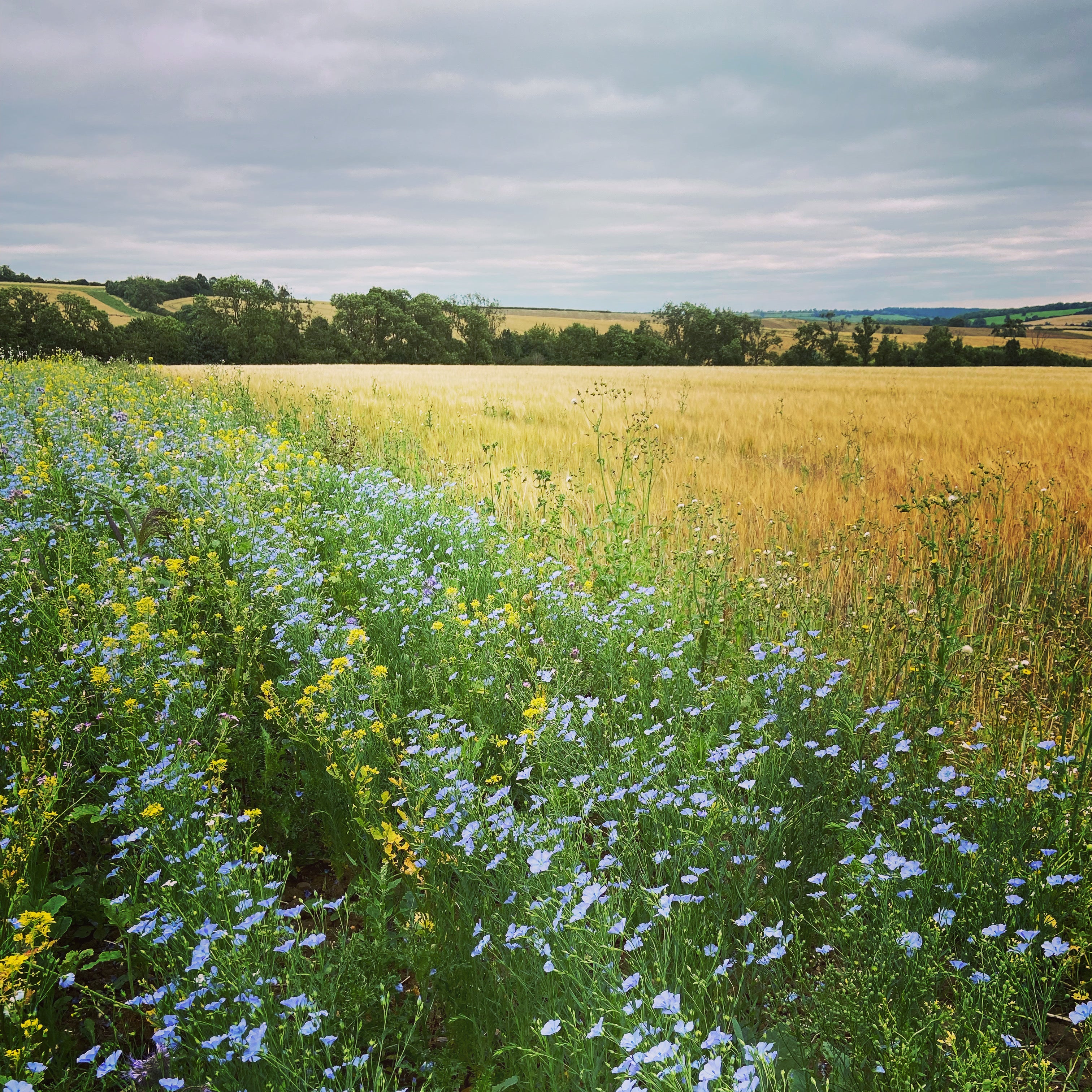 Productive agriculture and a healthy natural environment can exist side by side.