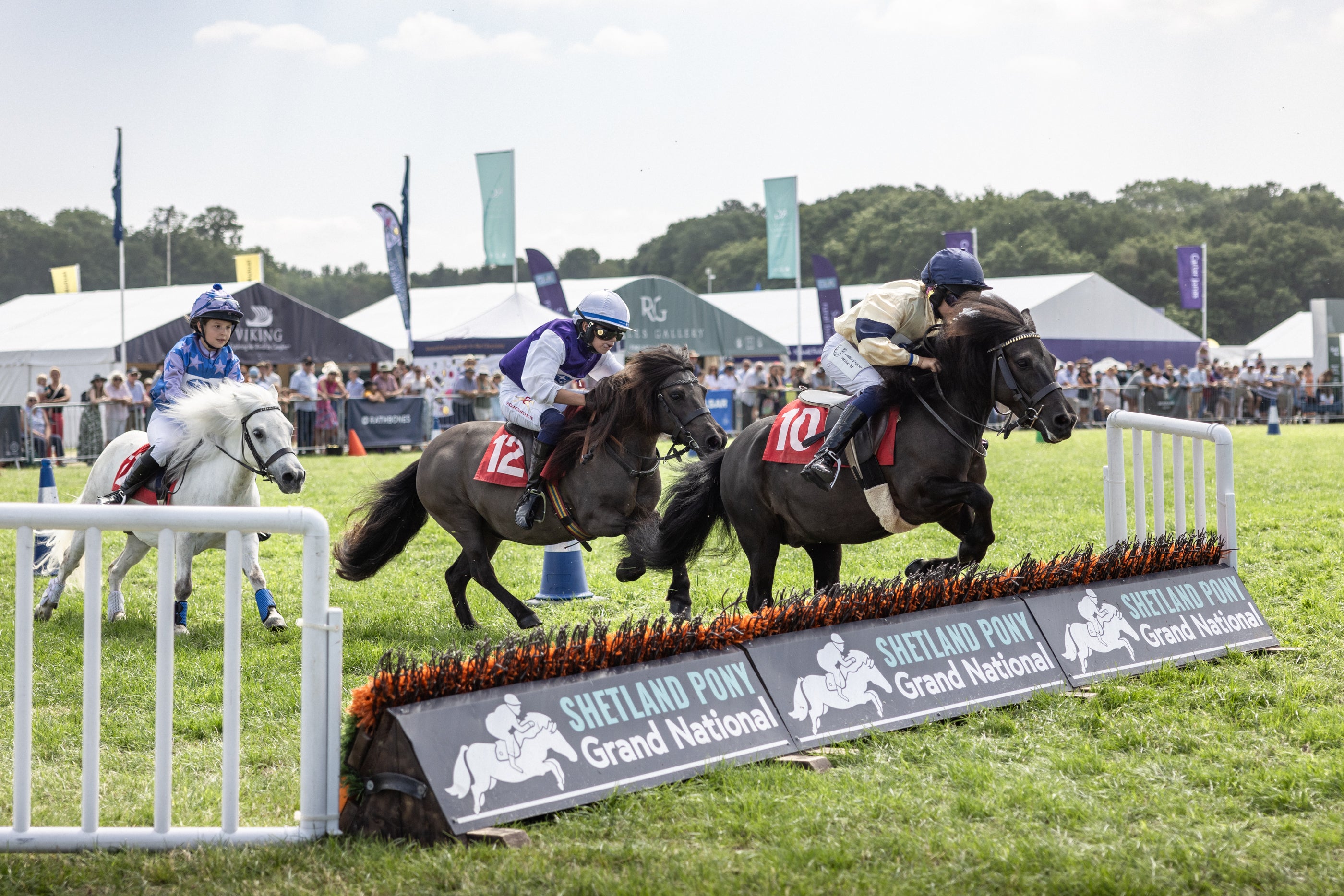 Three horse riders jump a fence during an equestrian race at Shetland Pony Grand National, with spectators and tents in the background.