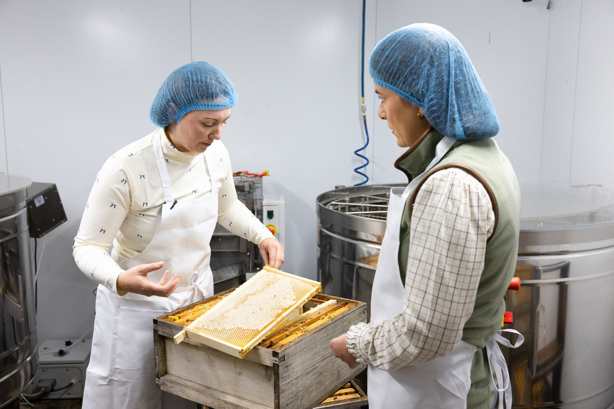 Two beekeepers in blue hairnets and white aprons inspect a honeycomb frame indoors.
