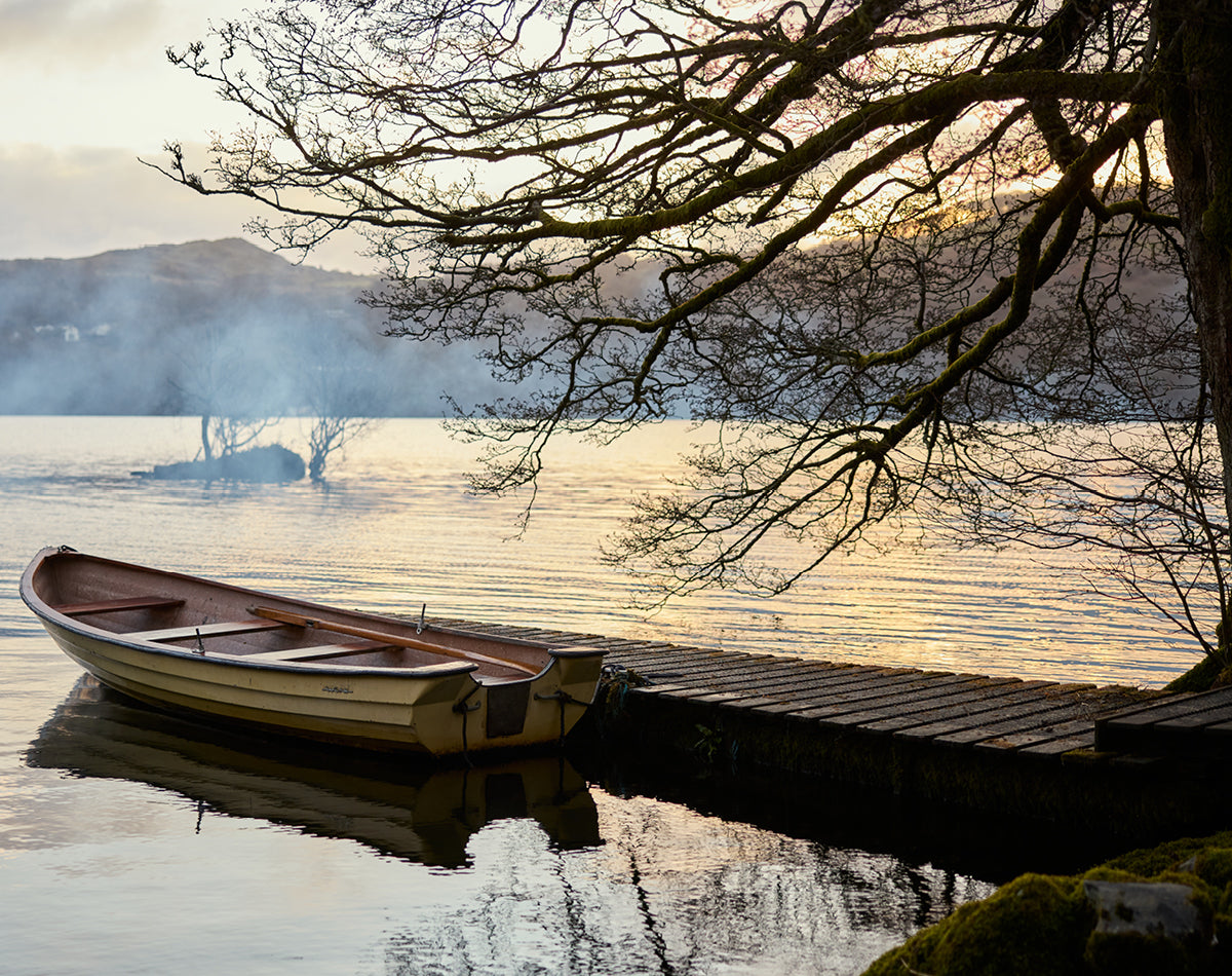 Boat on a calm lake with a tree and mountains in the background