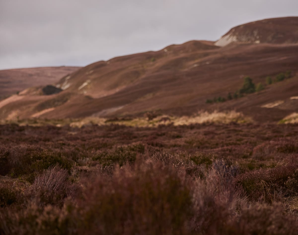A scenic landscape photograph of rolling hills covered in reddish-brown heather and low shrubs