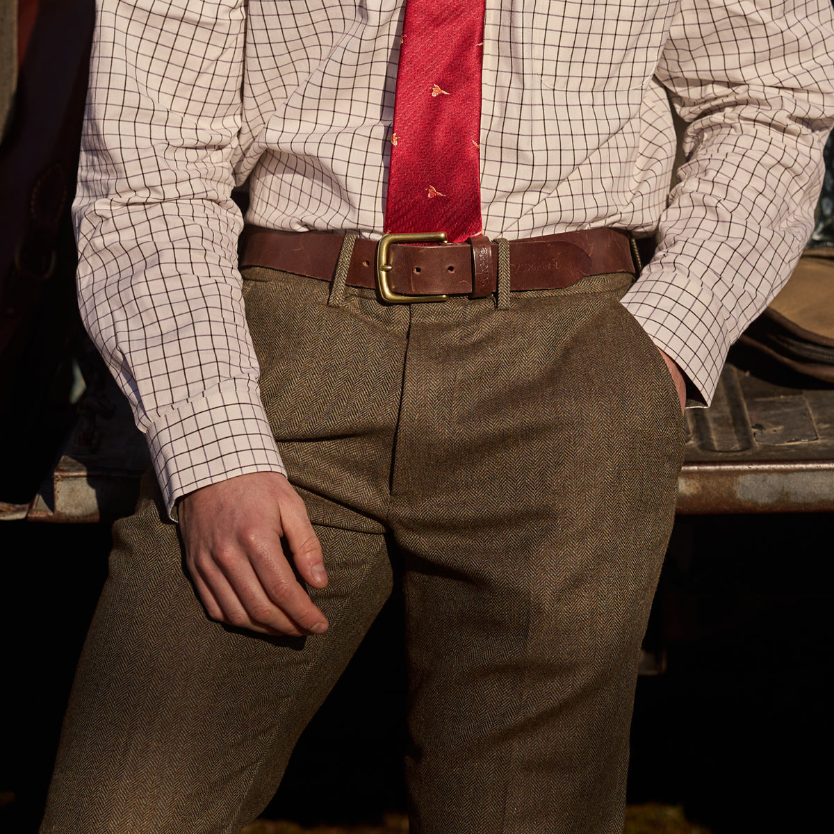 Person wearing a checkered shirt, red tie, and brown pants with a blurred background