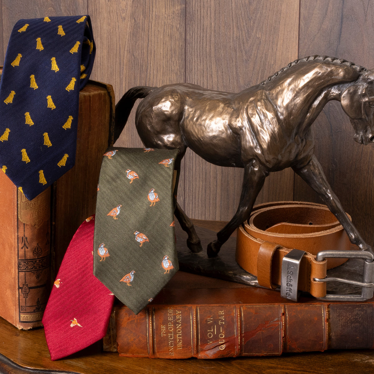 Three printed ties leaning on a bookshelf
