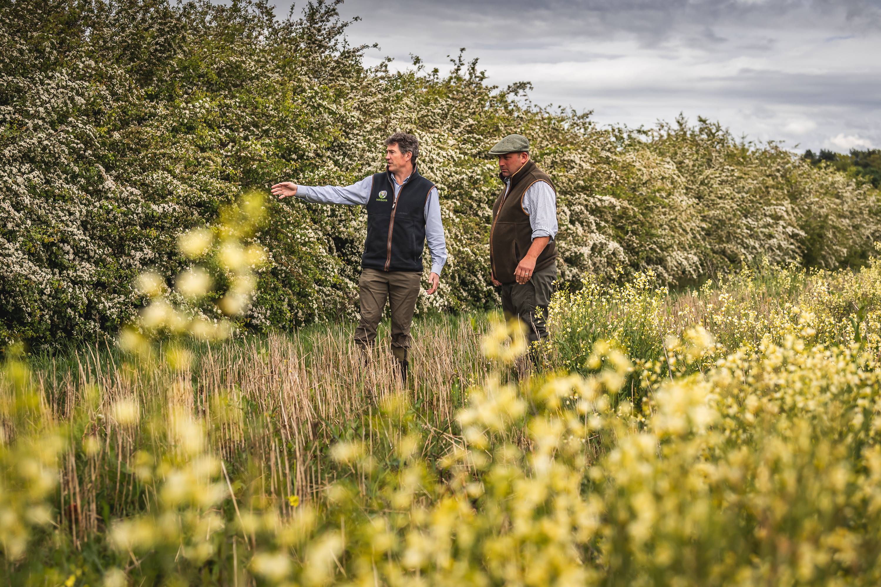 An image of two men standing in a field pointing towards hedgerow.