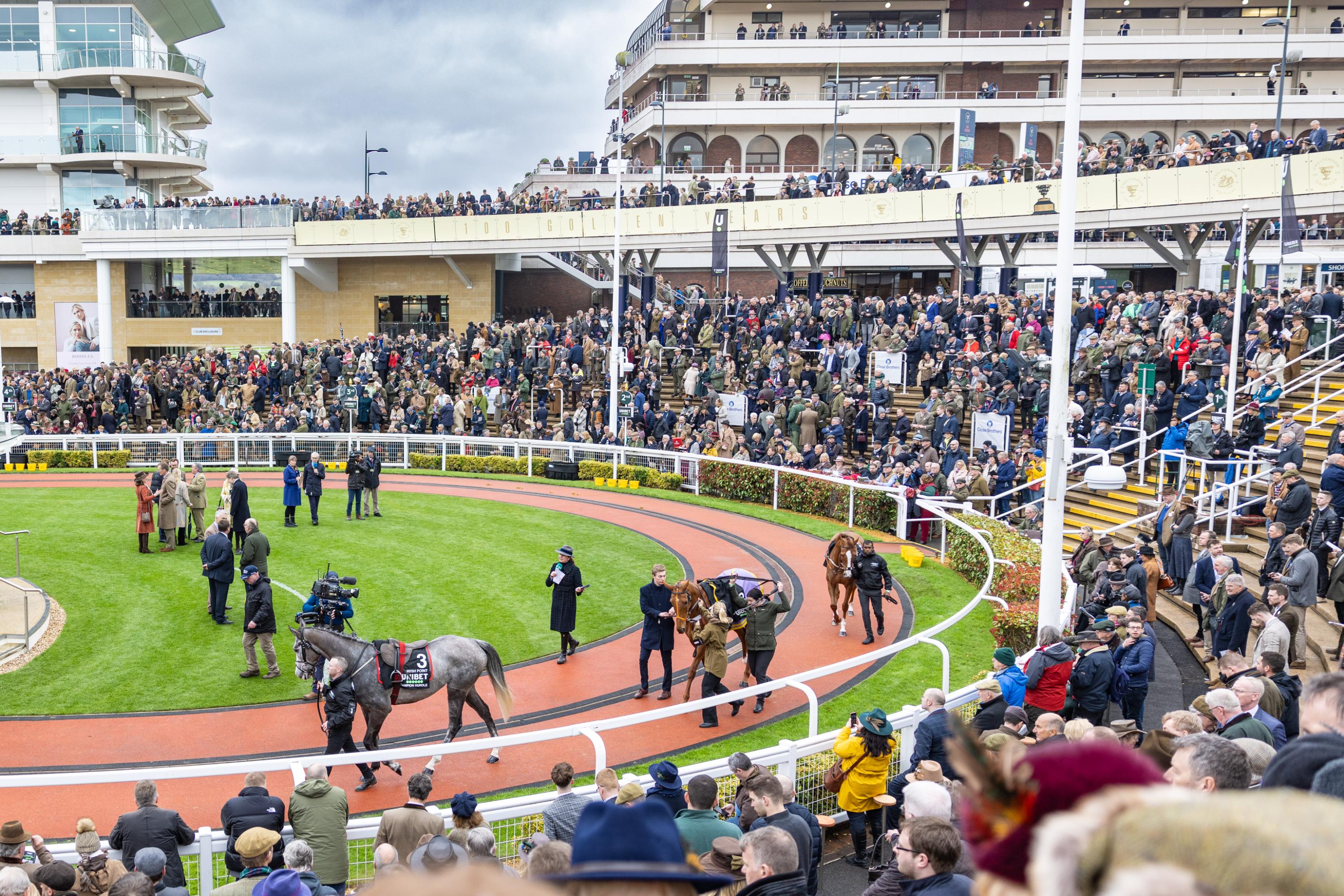 An image of racehorses being walked in a circle with crowds of people watching on.