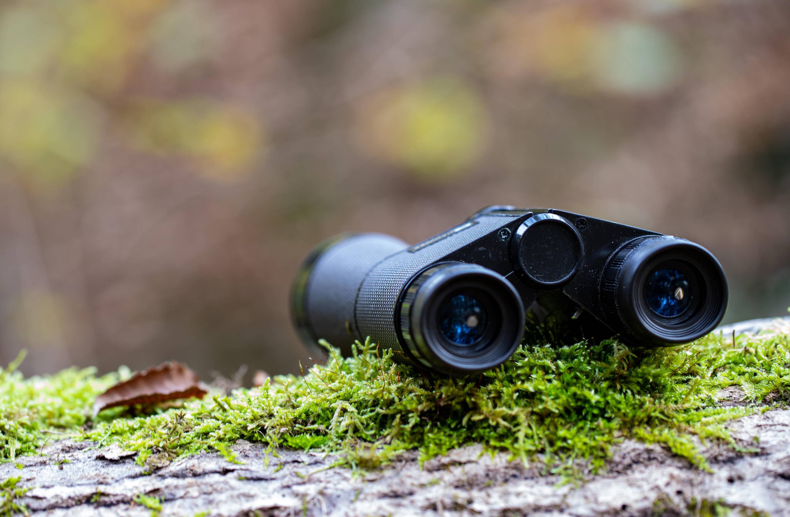 Close up of binoculars placed on a log with moss.