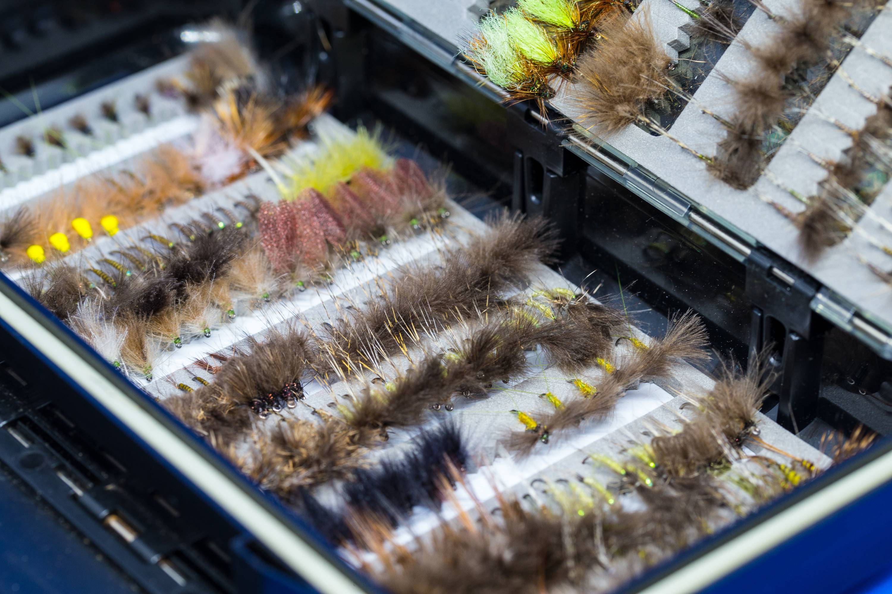 A selection of flies.