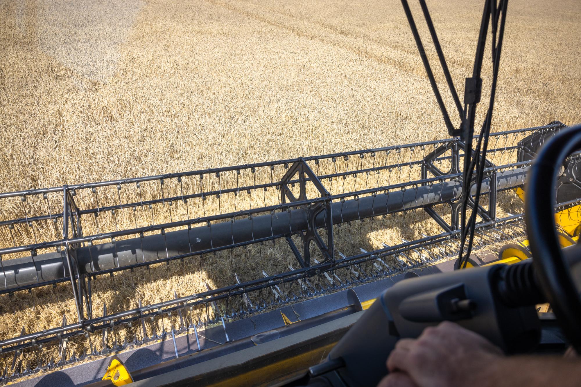 Harvester in a field during harvest season