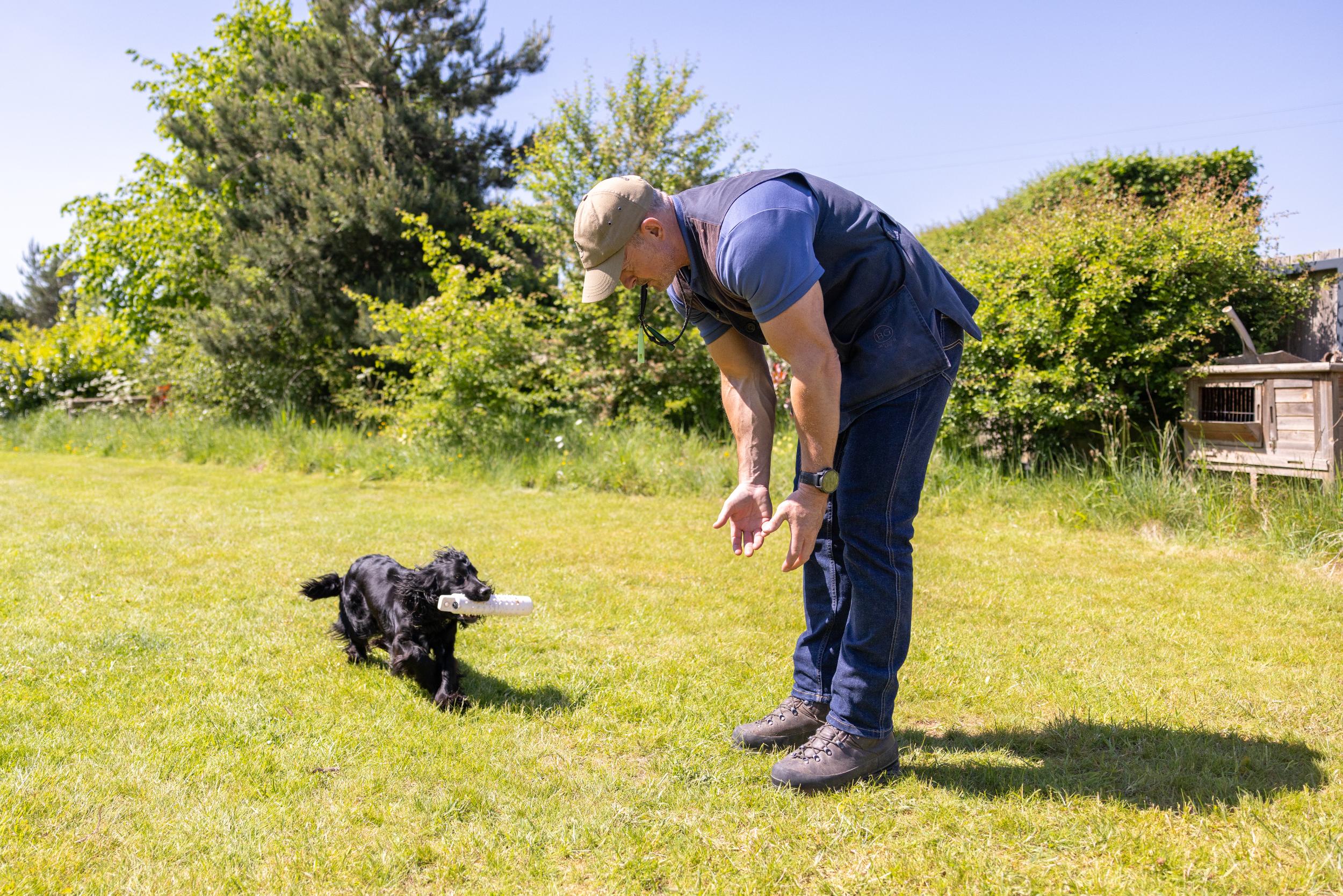 Man playing fetch with a dog in a grassy outdoor area