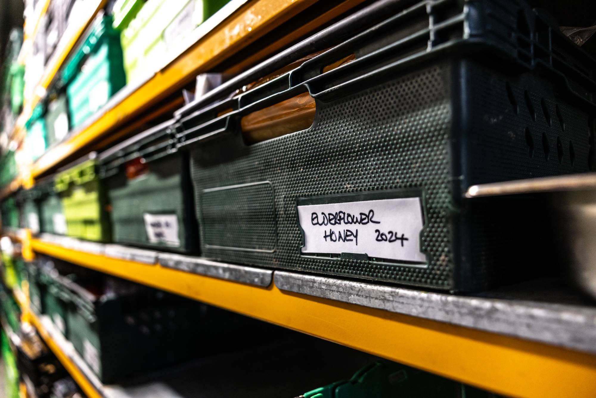 A selection of preserved ingredients.