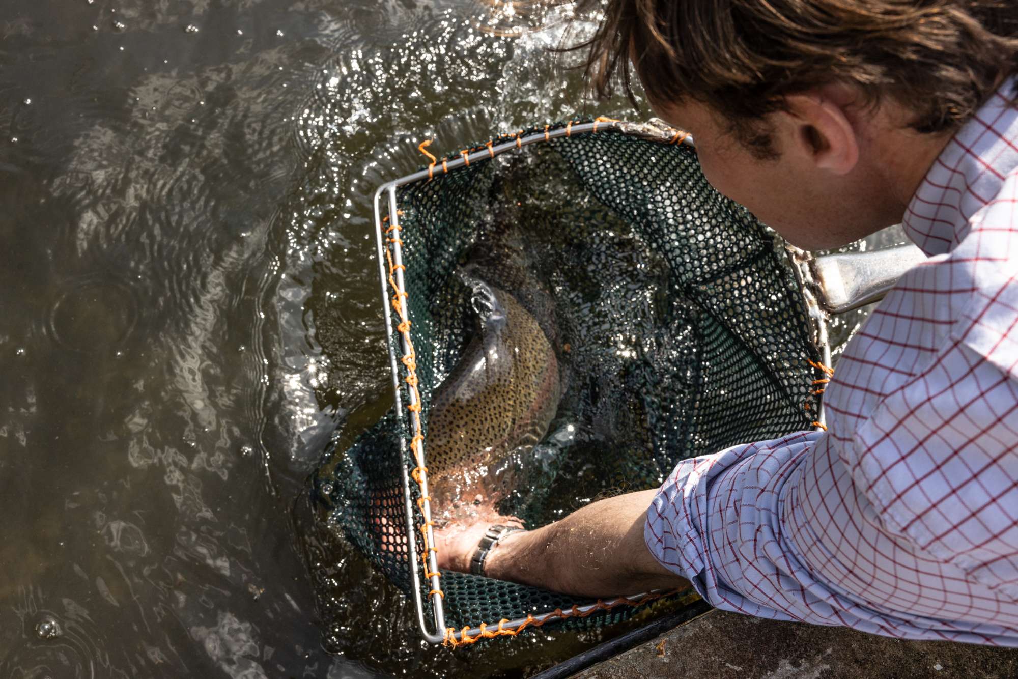 A man catching a fish in a net.