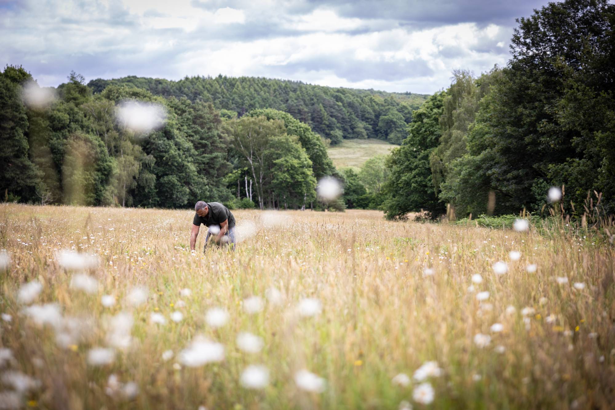 Person standing in a field with trees and hills in the background