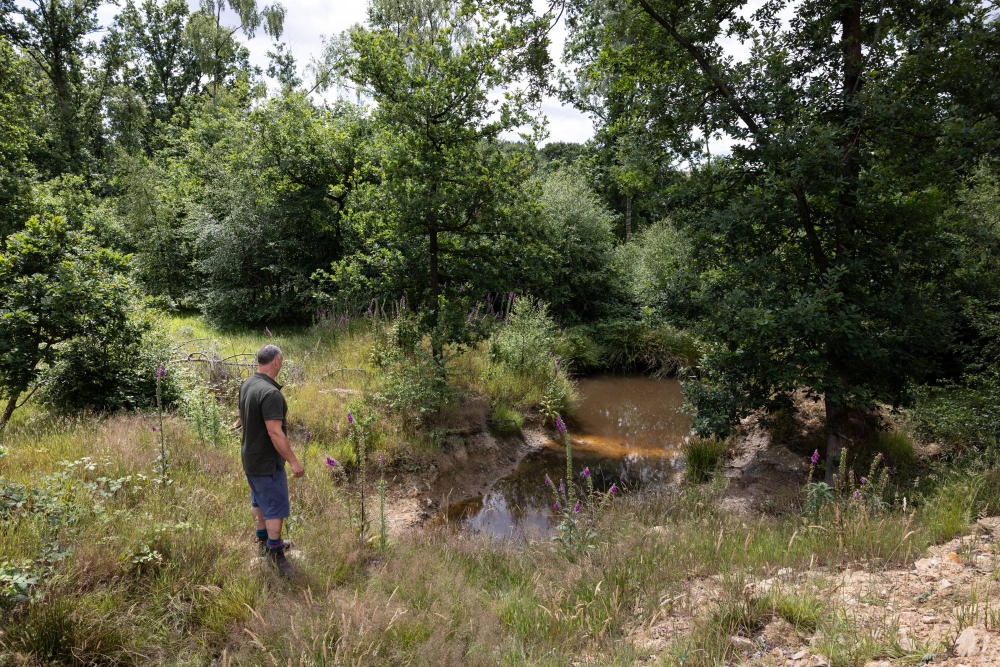 Man standing near a small pond surrounded by trees and vegetation