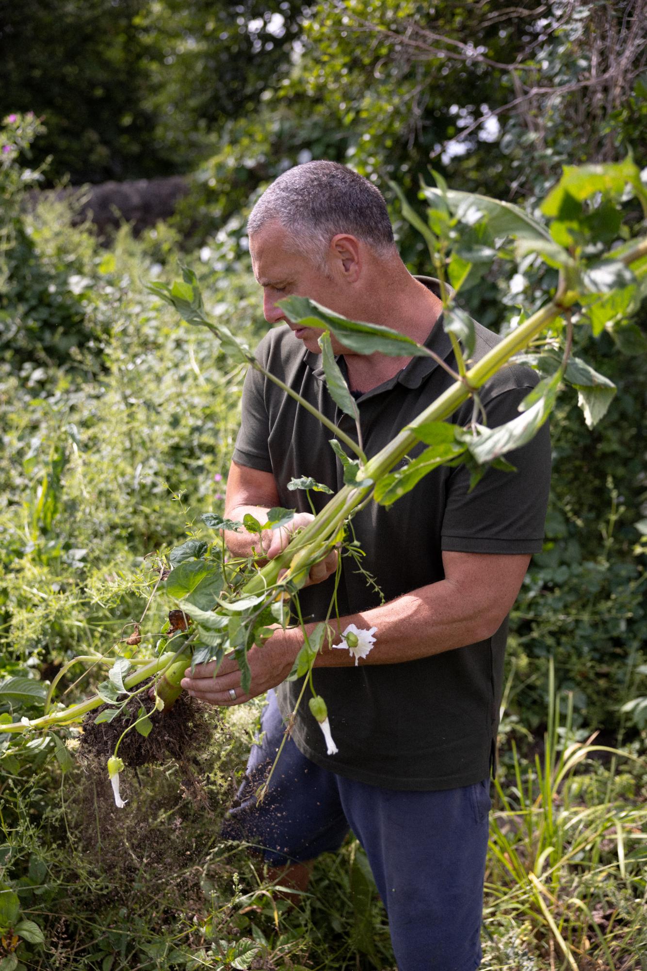 Man holding a large plant in a natural outdoor setting