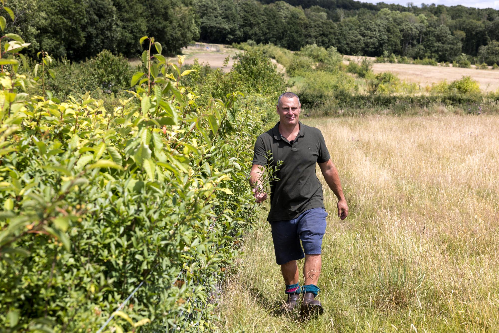 Man walking through a field with greenery and trees in the background