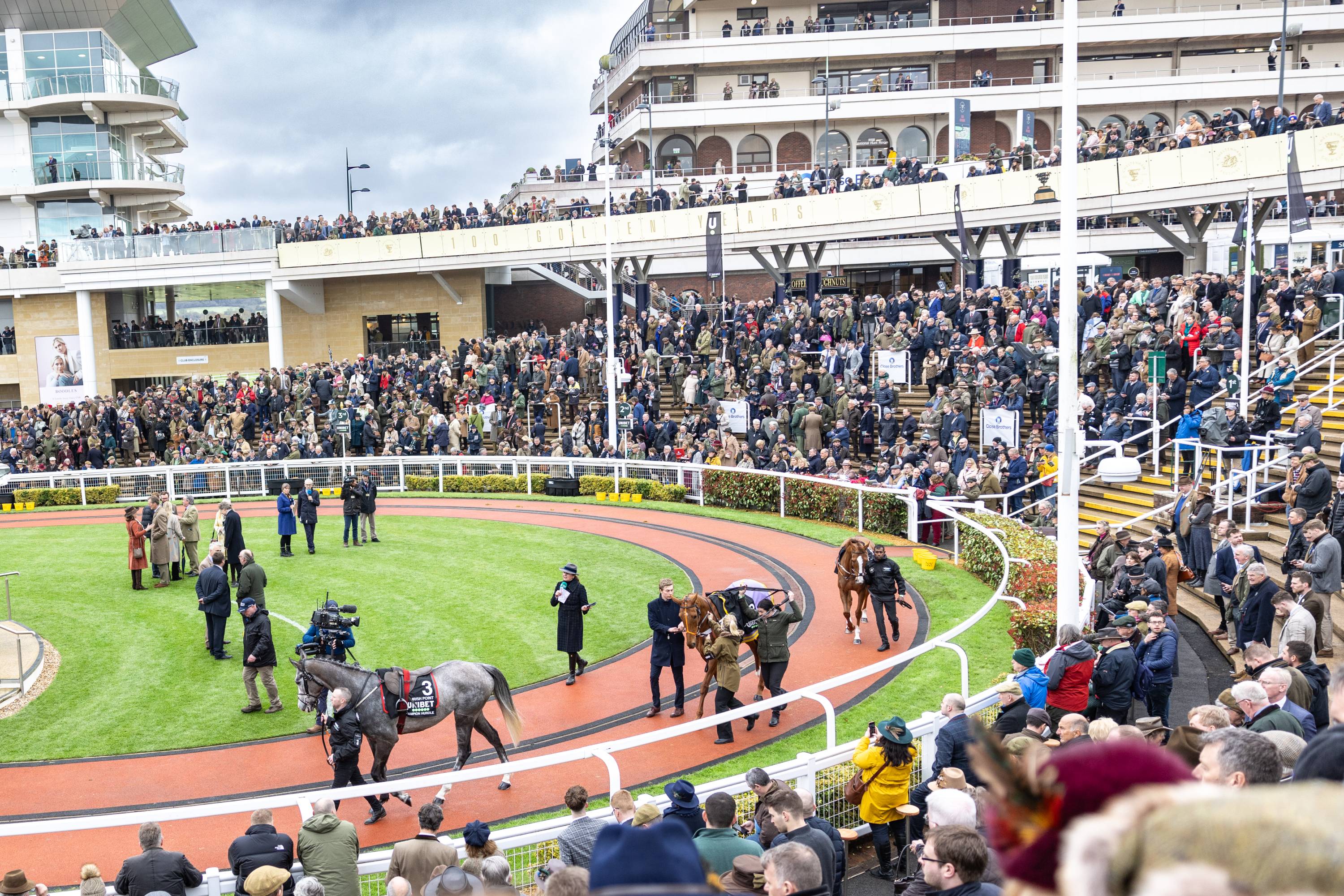 An image of racehorses being walked in a circle with crowds of people watching on.