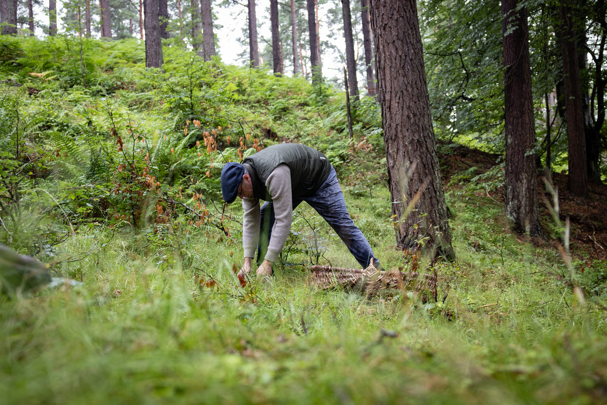 A man in a forest clearing bending down to pick something from the grass near a tree trunk.