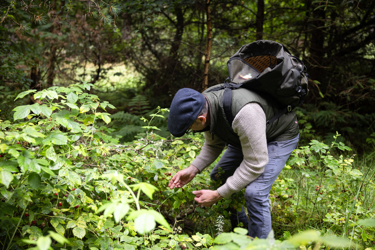 A man in a forest wearing a dark blue cap, a grey jumper, a dark green gilet, and blue jeans, carrying a large black backpack while bending down to examine green plants.
