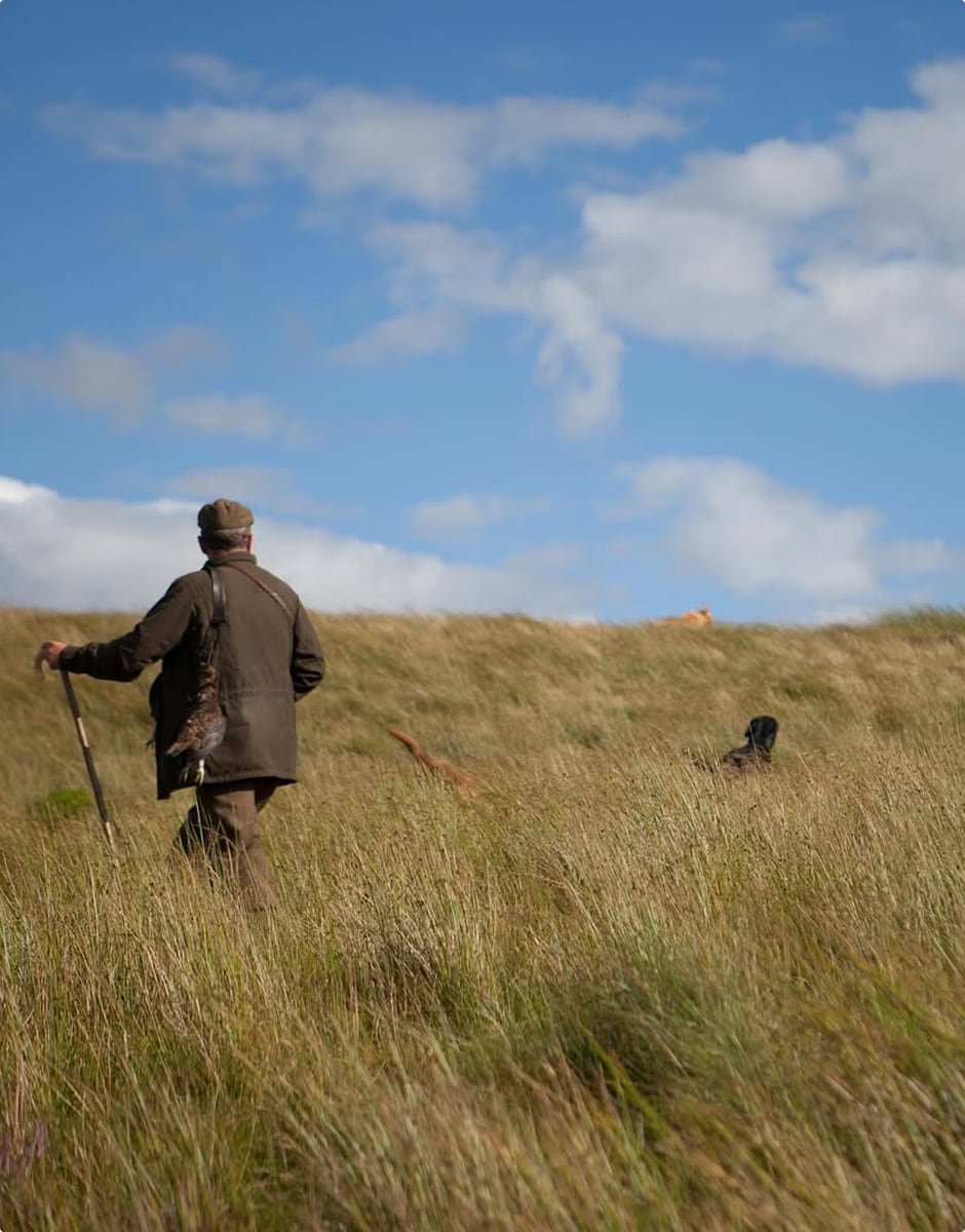 A person in a wax jacket and flat cap walks through tall grassland with a gun dog, under a blue sky with scattered clouds.