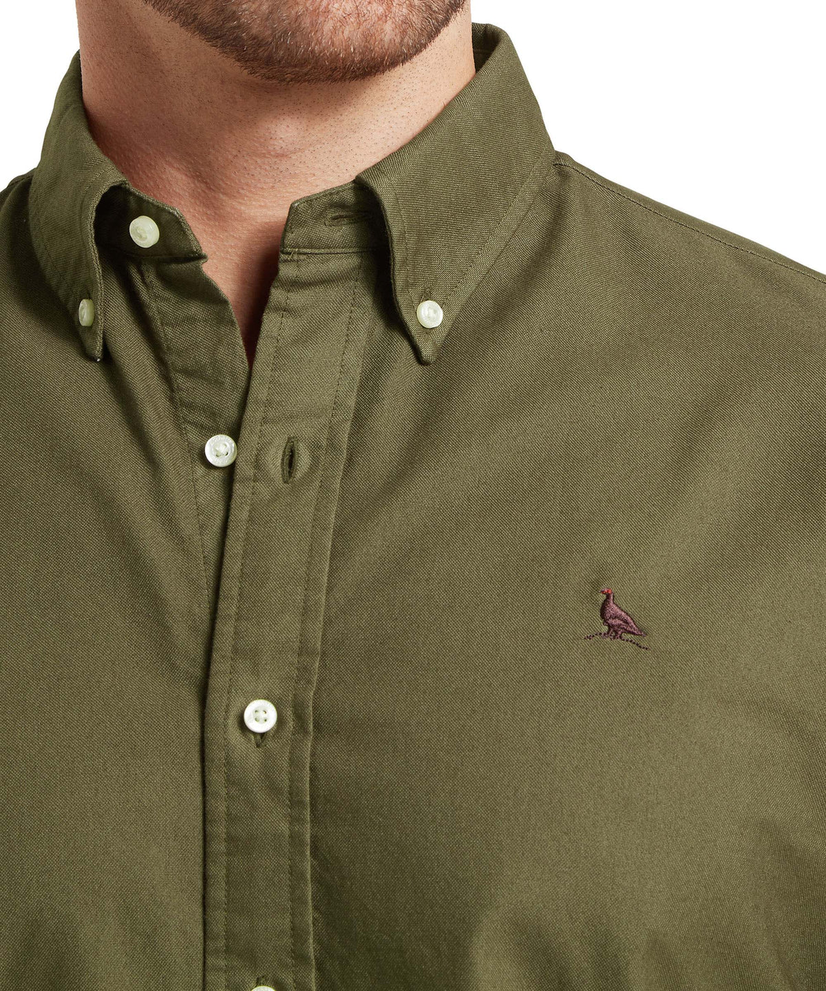 Olive green cavendish oxford shirt with white buttons and embroidered bird logo on chest