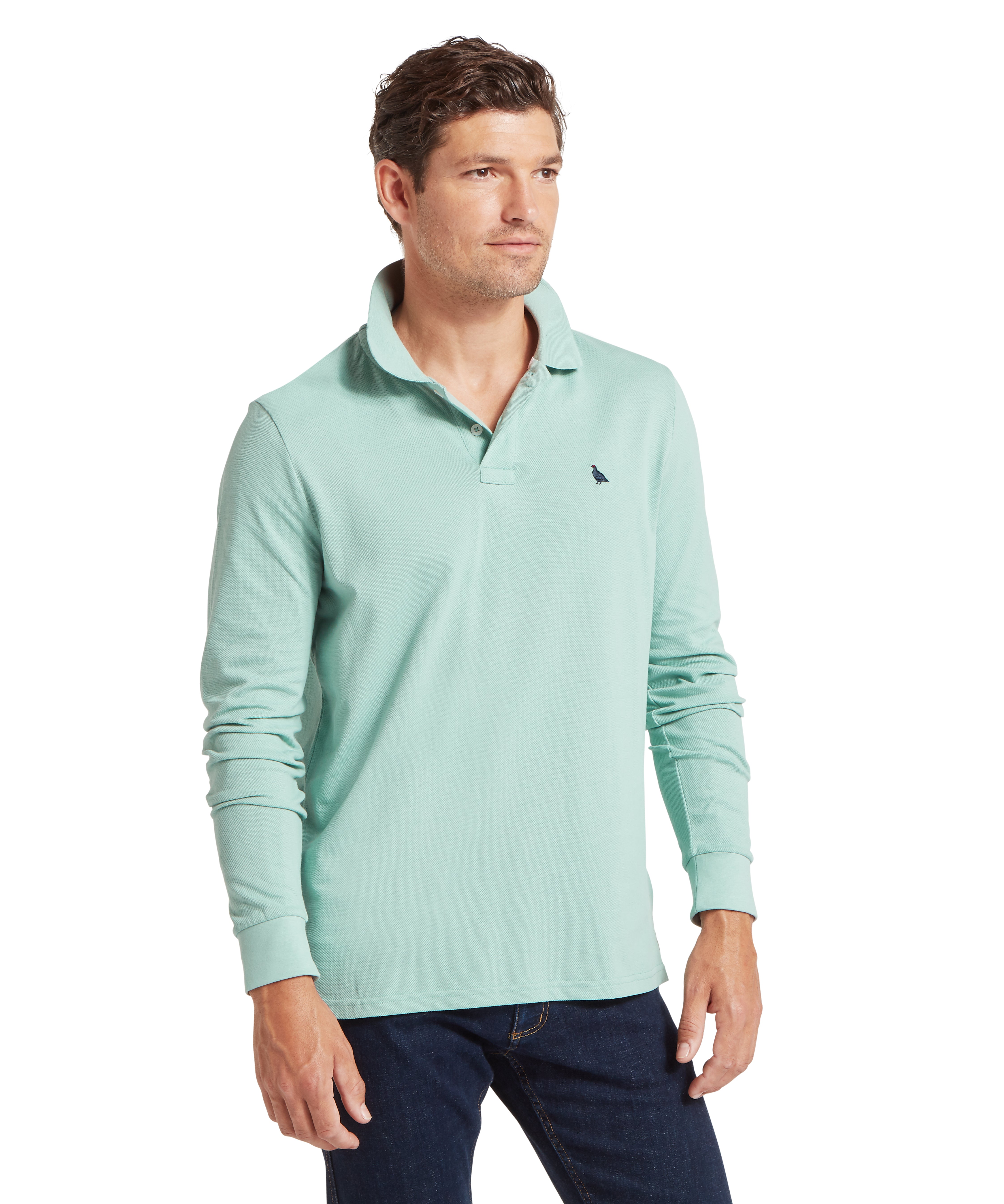A men’s long-sleeved mint green St Ives polo shirt with a small black bird logo on the chest