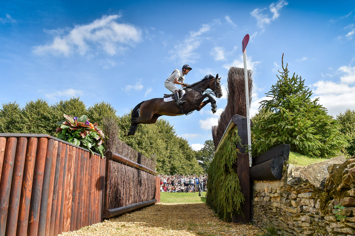 Dark brown horse with glossy coat jumps obstacle at Burghley Horse Trials