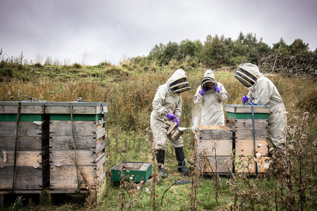 Episode 3: Honey – what's really in the jar?