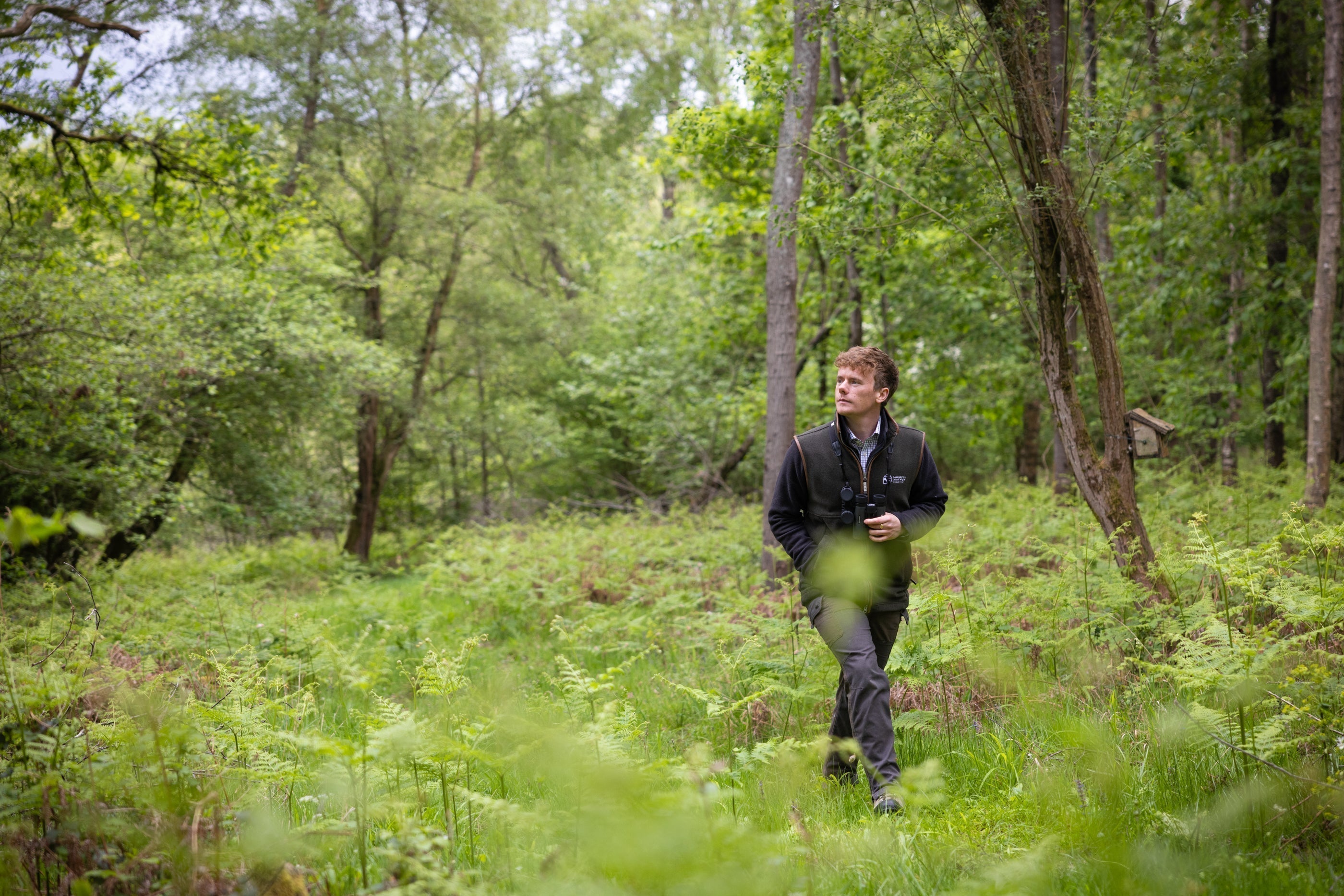 Tom Hilder walking through woodland in navy quarter-zip and dark trousers, lifestyle shot, dense green ferns and deciduous trees in background