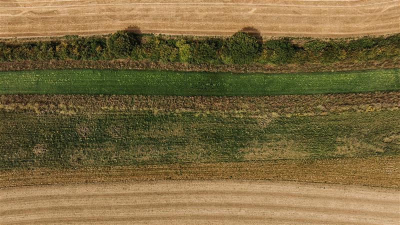 Nominations open for 2026 Schöffel Countryside Awards