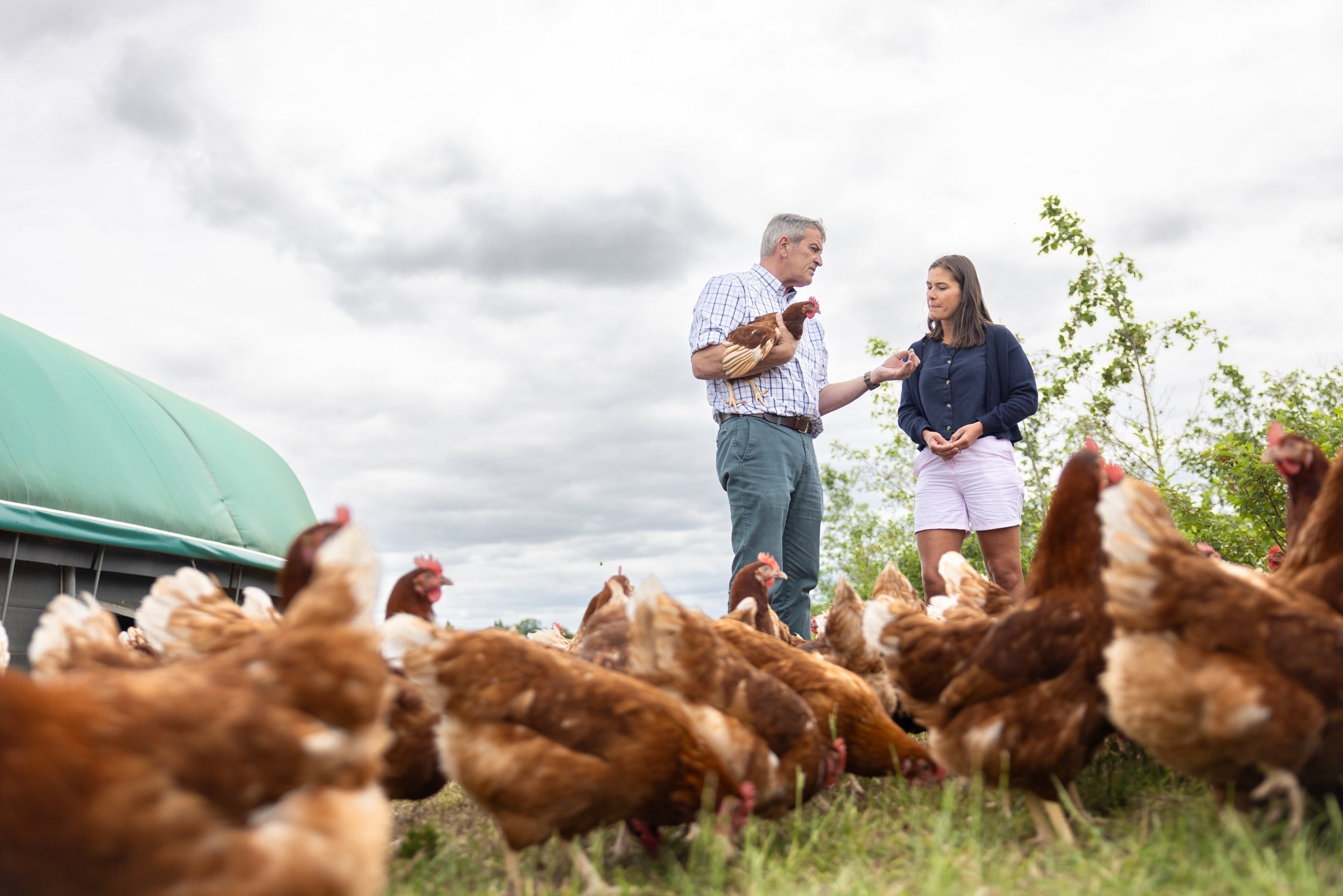 Episode 2: Eggs – what does ‘organic’ really mean?
