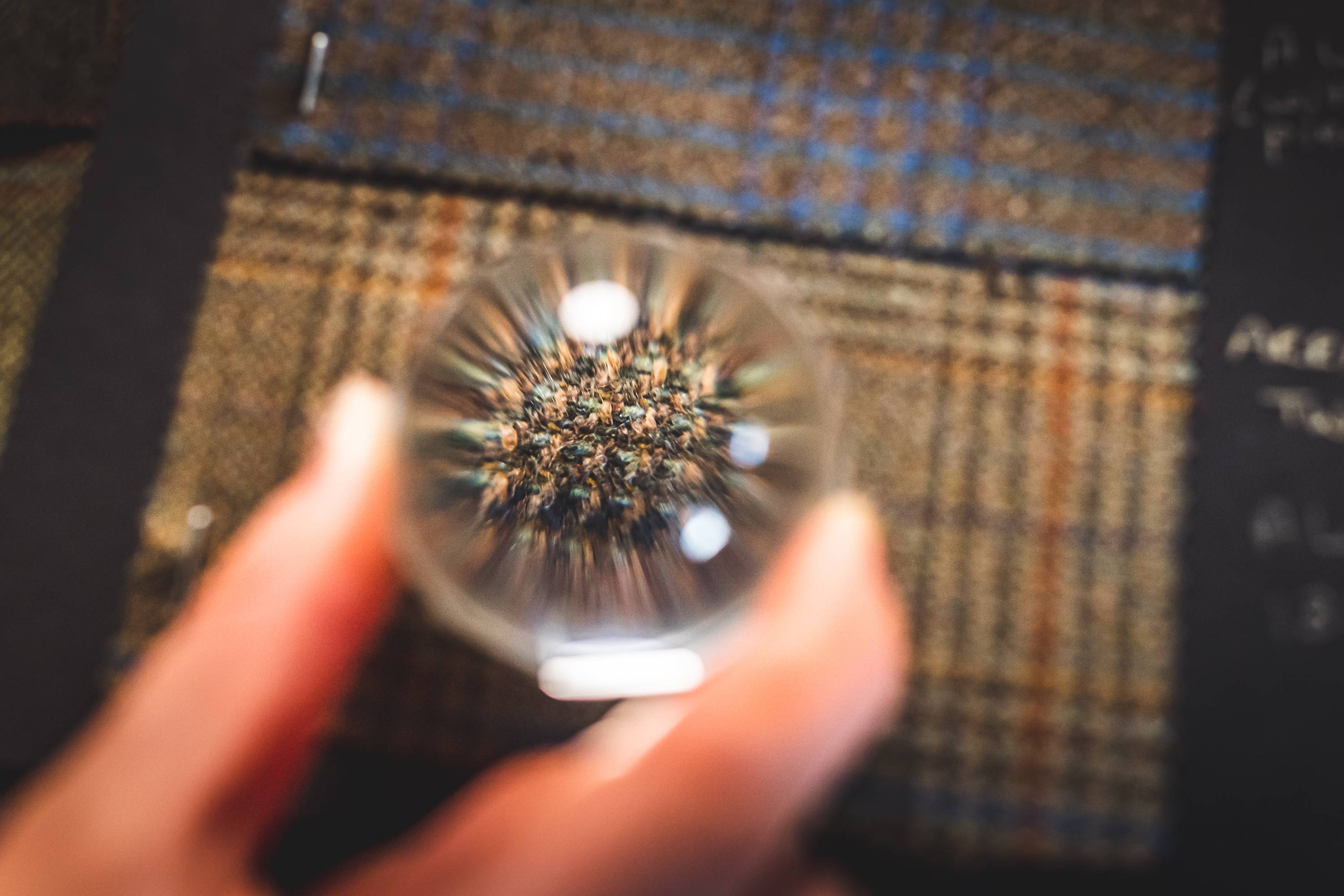 A close up image of a tweed fabric swatch under a magnifying glass.