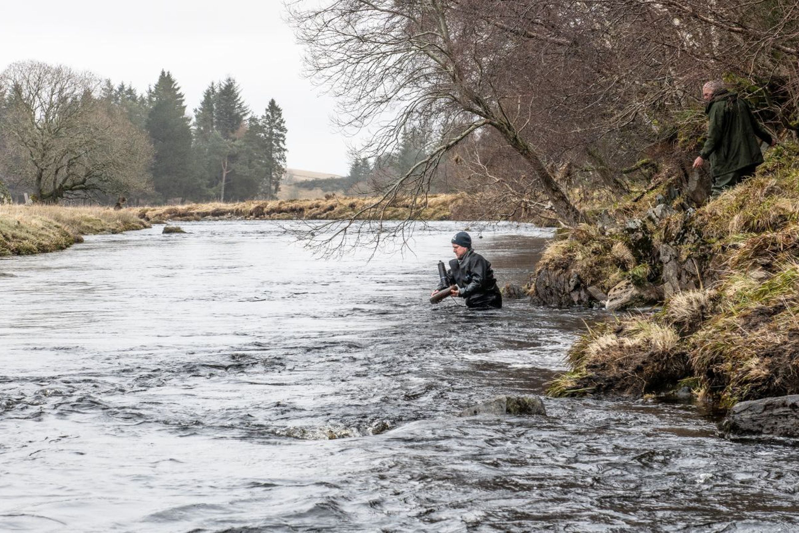 Man in waders fly fishing for Atlantic salmon in river, Atlantic Salmon Trust
