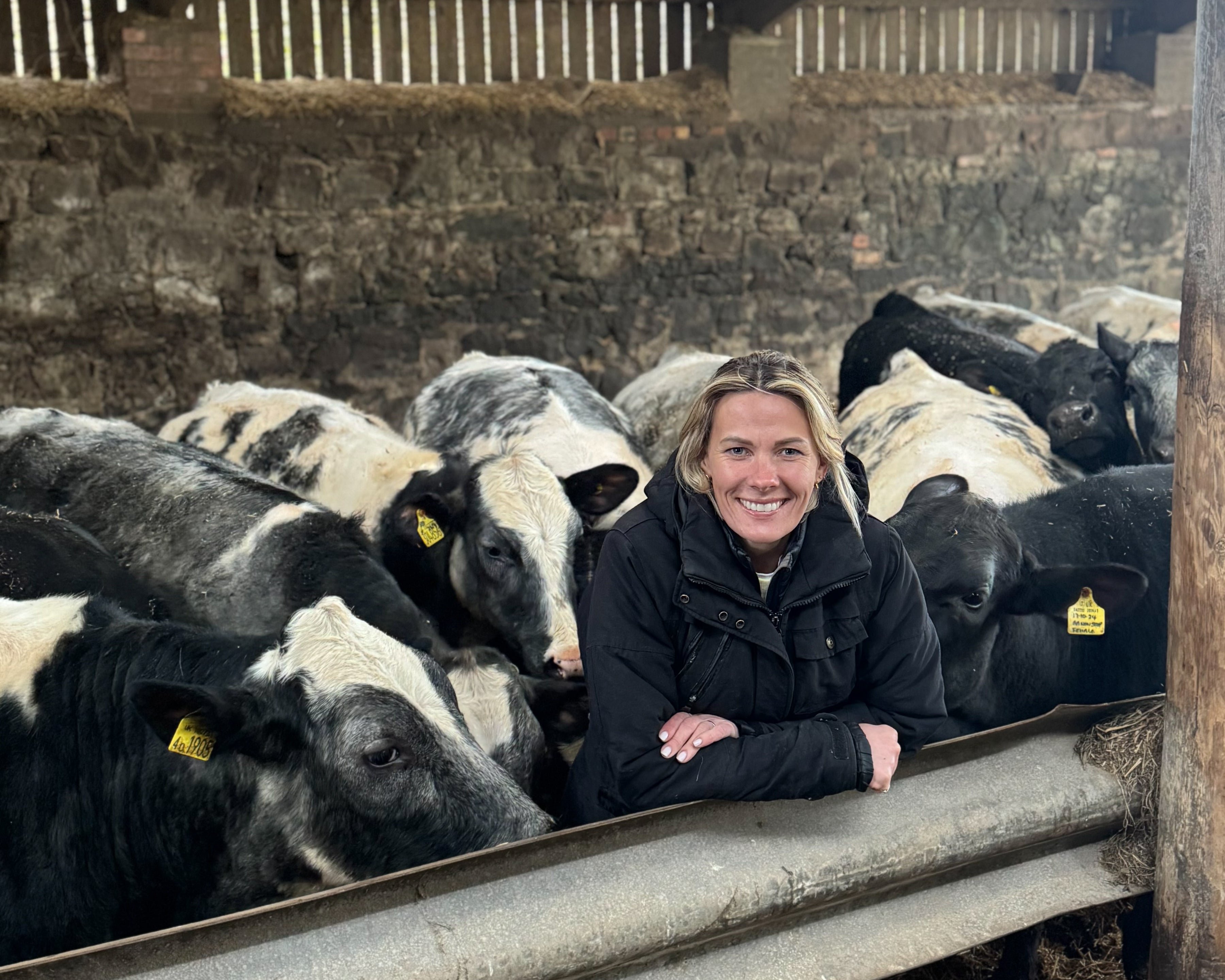 Woman standing among black and white cows in a barn setting
