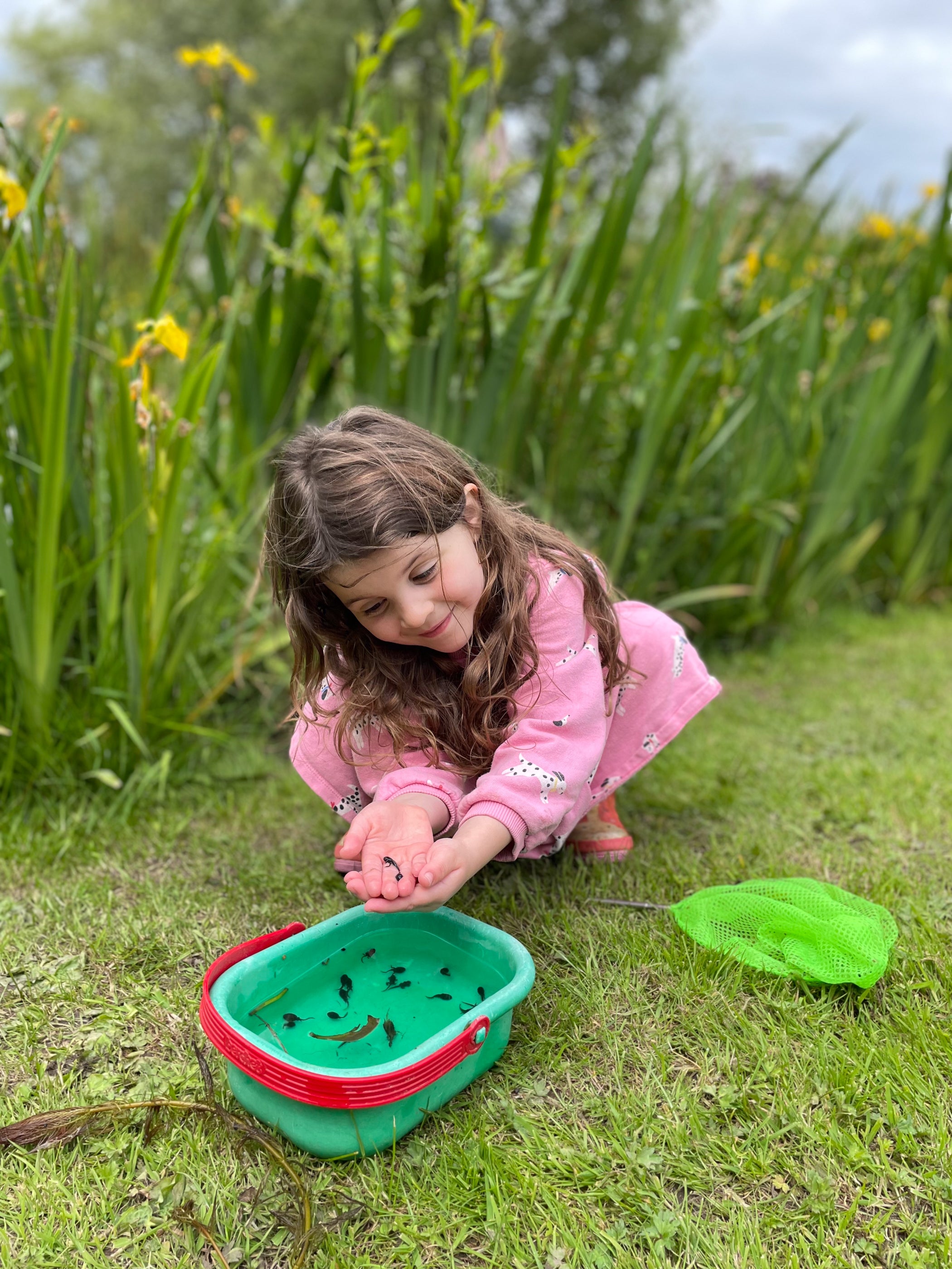 A young girl with long brown hair wearing a pink long-sleeve top crouches on a green lawn next to a green and red plastic bucket, looking into the water while catching small fish. A bright green plastic net lies nearby on the grass, with tall green reeds and yellow flowers blurred in the background.