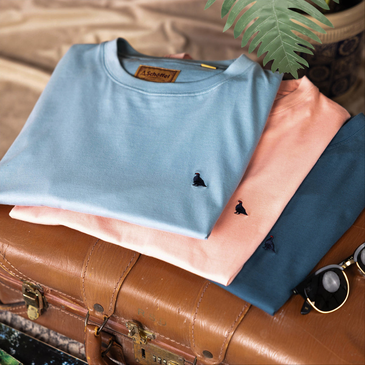Folded tops in blue, pink, and green on a brown suitcase with sunglasses and a plant in the background.