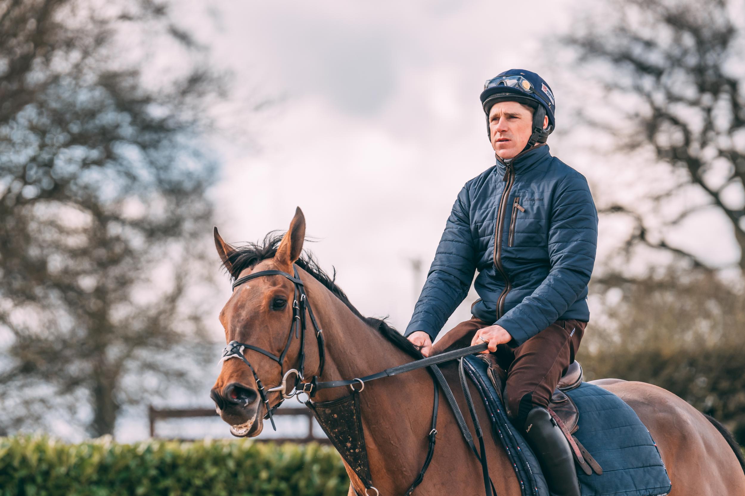 Harry Skelton is riding a bay horse.