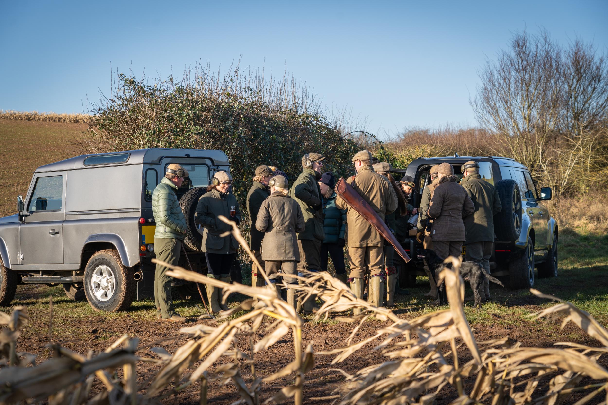 A group of people and dogs wearing countrywear standing in a large field with cars.